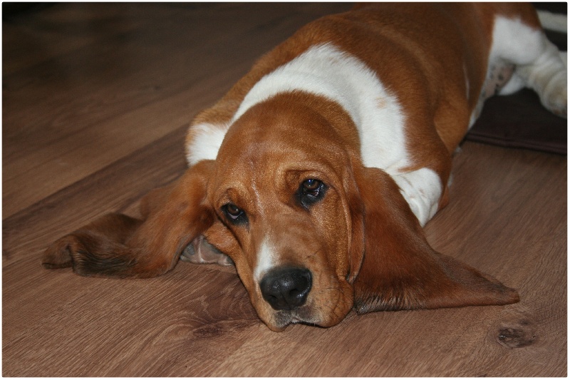 Fantasy (Sans Affixe)