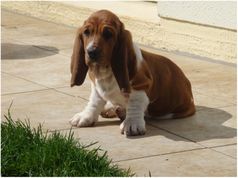 Fantasy (Sans Affixe)