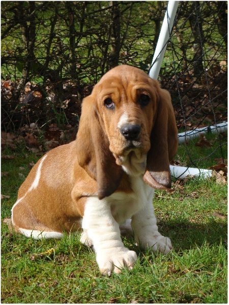 Fantasy (Sans Affixe)