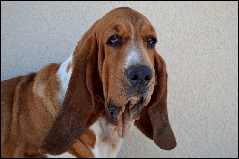 Fantasy (Sans Affixe)