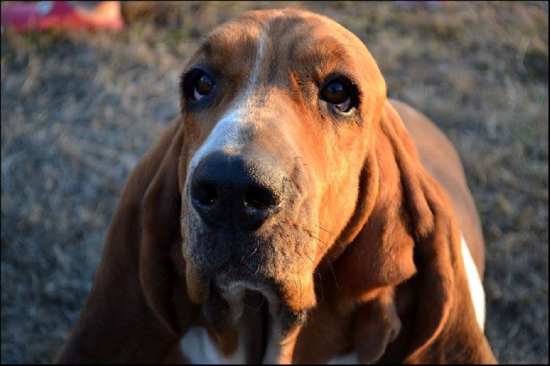 Fantasy (Sans Affixe)