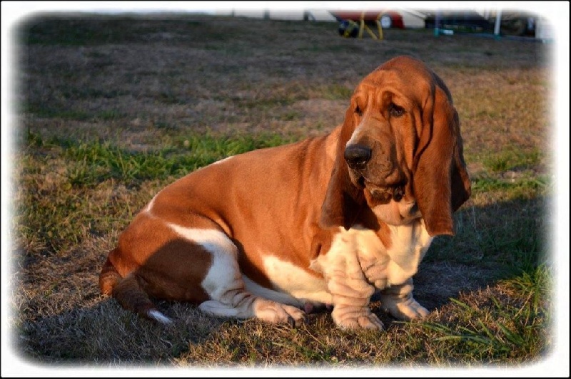 Fantasy (Sans Affixe)