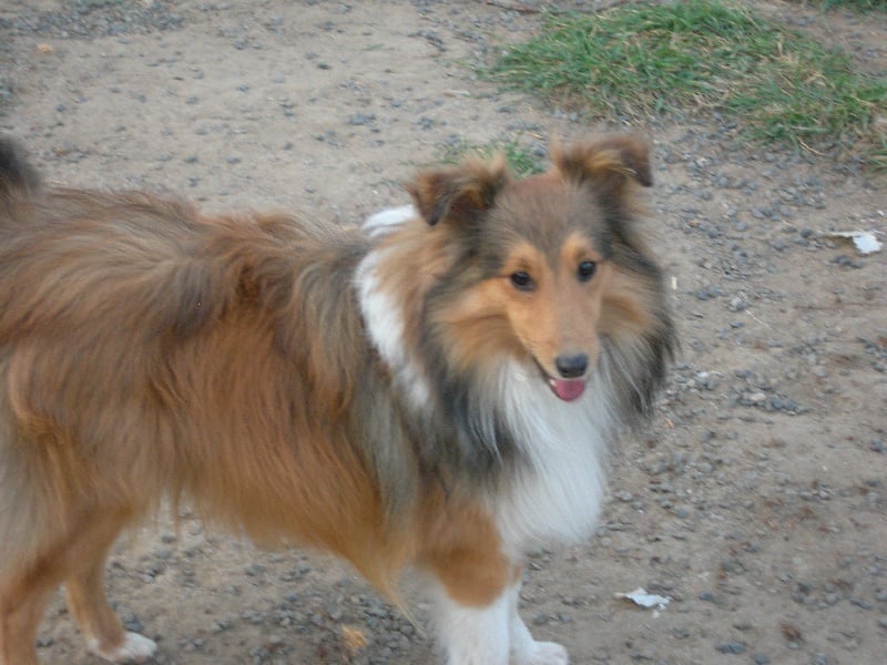 Publication : White And Black Blue Auteur : Espigarez Christine