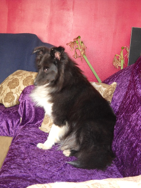 Publication : White And Black Blue Auteur : Espigarez Christine