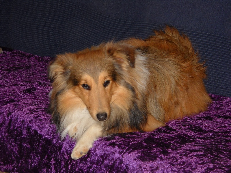 Publication : White And Black Blue Auteur : Espigarez Christine