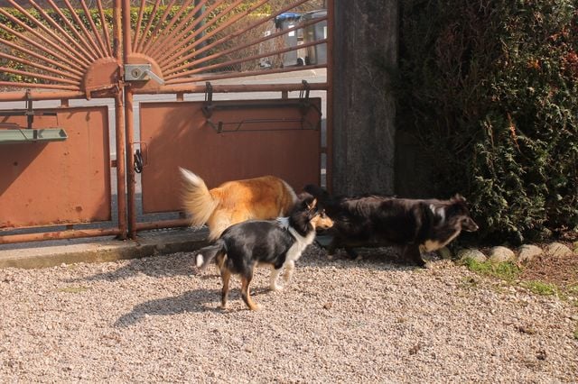 Publication : White And Black Blue Auteur : Espigarez Christine