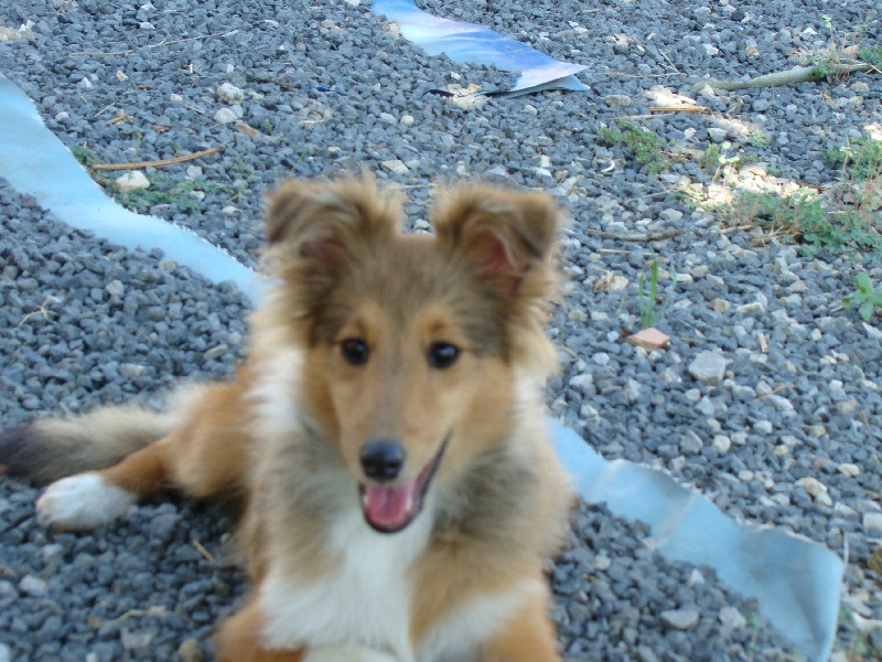 Publication : White And Black Blue Auteur : Espigarez Christine