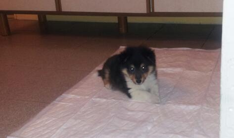 Publication : White And Black Blue Auteur : Espigarez Christine