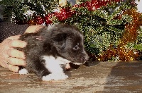 Publication : White And Black Blue Auteur : Espigarez Christine