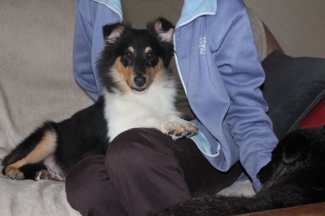 Publication : White And Black Blue Auteur : Espigarez Christine