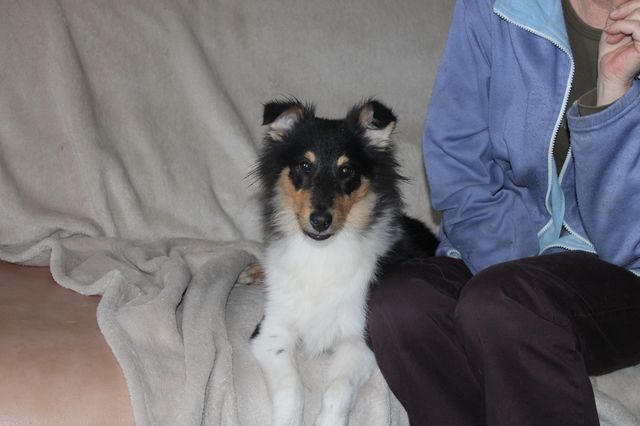 Publication : White And Black Blue Auteur : Espigarez Christine