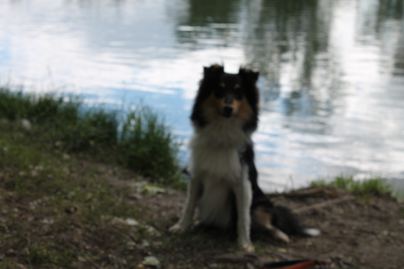 Publication : White And Black Blue Auteur : Espigarez Christine