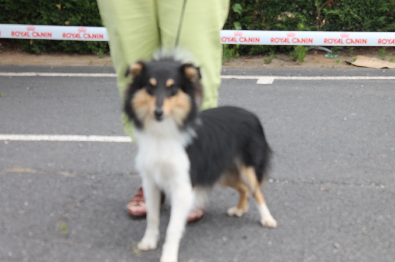 Publication : White And Black Blue Auteur : Espigarez Christine