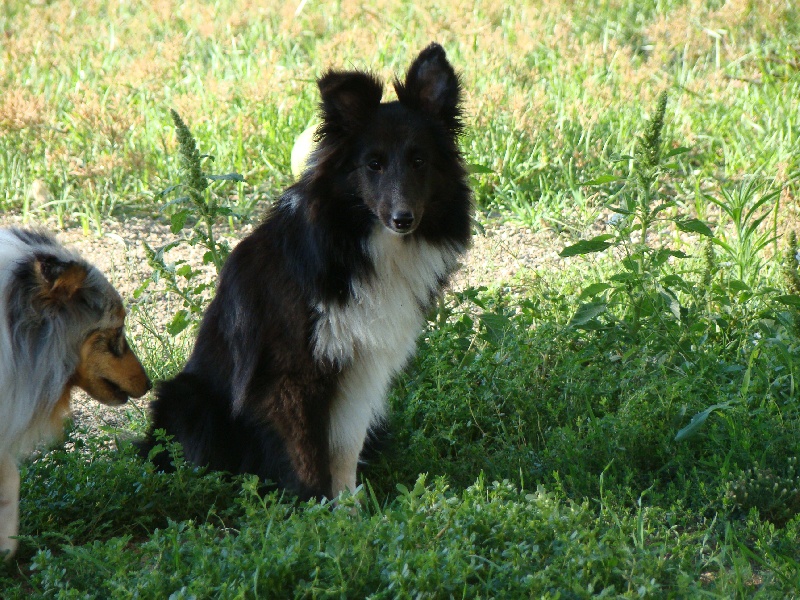 Publication : White And Black Blue Auteur : Espigarez Christine