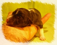 Publication : White And Black Blue Auteur : Espigarez Christine