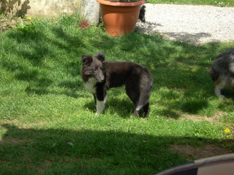 Publication : White And Black Blue Auteur : Espigarez Christine