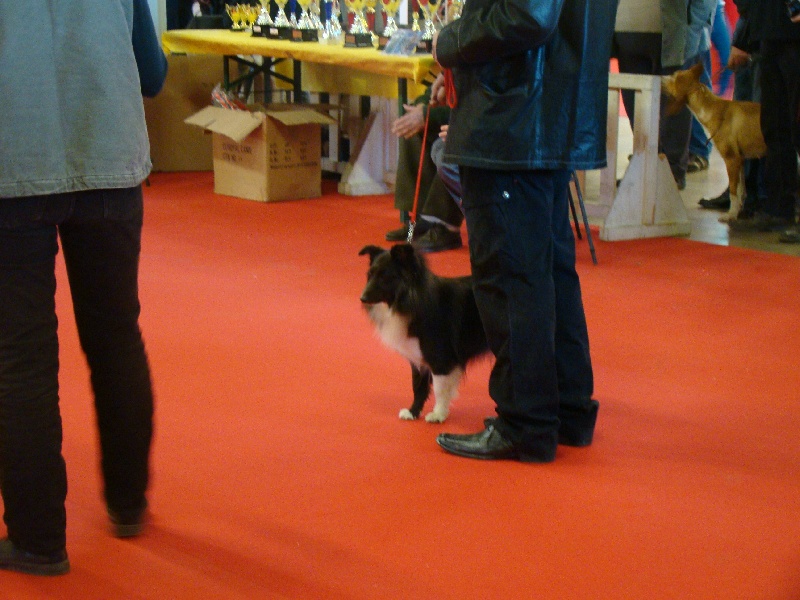 Publication : White And Black Blue Auteur : Espigarez Christine