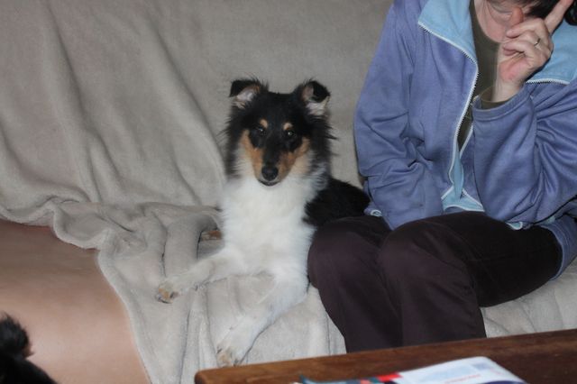 Publication : White And Black Blue Auteur : Espigarez Christine