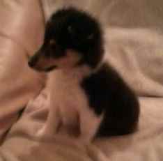 Publication : White And Black Blue Auteur : Espigarez Christine