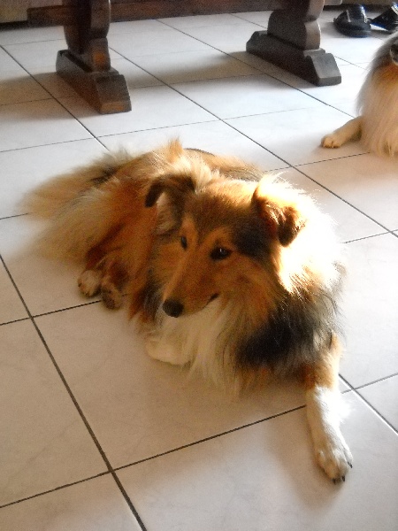 Publication : White And Black Blue Auteur : Espigarez Christine