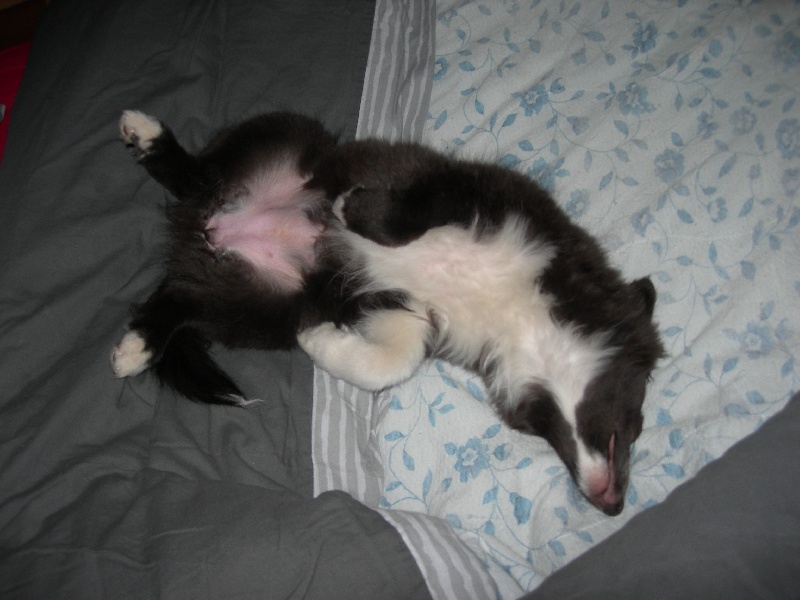 Publication : White And Black Blue Auteur : Espigarez Christine