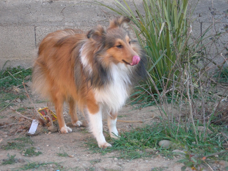 Publication : White And Black Blue Auteur : Espigarez Christine