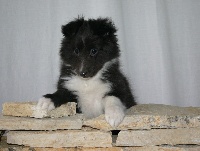 Publication : White And Black Blue Auteur : Espigarez Christine