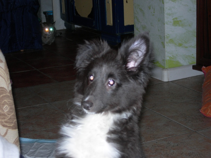 Publication : White And Black Blue Auteur : Espigarez Christine