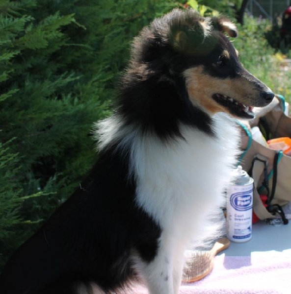 Publication : White And Black Blue Auteur : Espigarez Christine