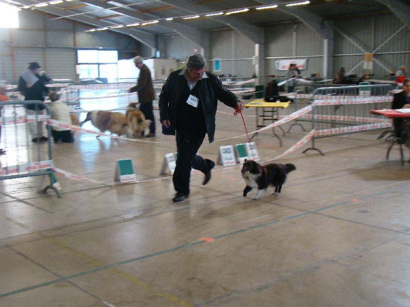 Publication : White And Black Blue Auteur : Espigarez Christine