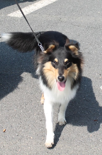 Publication : White And Black Blue Auteur : Espigarez Christine