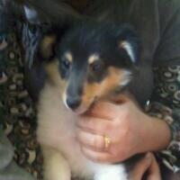 Publication : White And Black Blue Auteur : Espigarez Christine