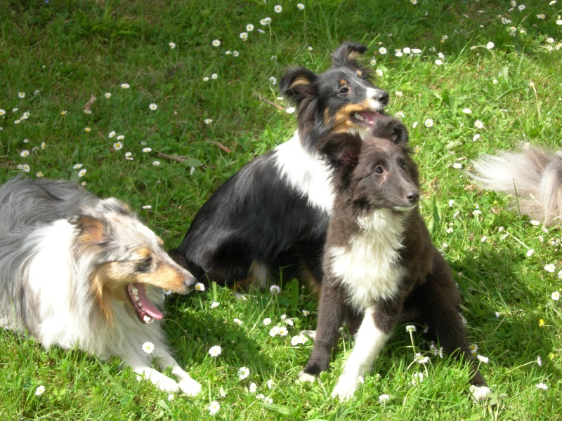 Publication : White And Black Blue Auteur : Espigarez Christine