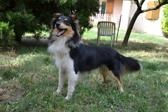 Publication : White And Black Blue Auteur : Espigarez Christine