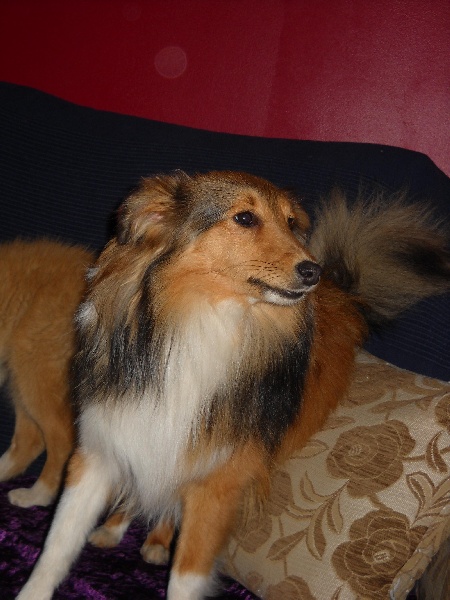 Publication : White And Black Blue Auteur : Espigarez Christine