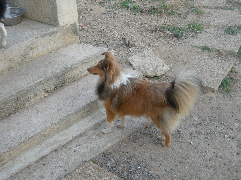 Publication : White And Black Blue Auteur : Espigarez Christine