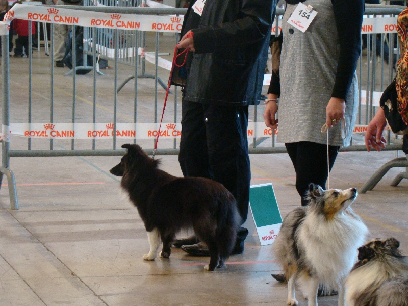 Publication : White And Black Blue Auteur : Espigarez Christine