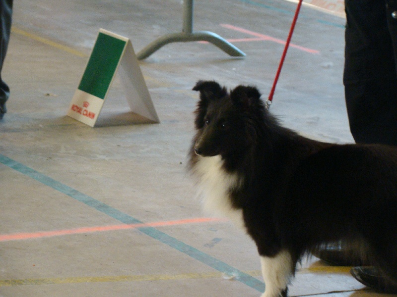 Publication : White And Black Blue Auteur : Espigarez Christine