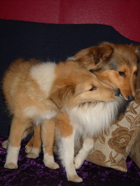 Publication : White And Black Blue Auteur : Espigarez Christine