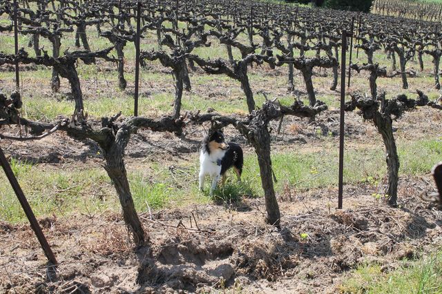 Publication : White And Black Blue Auteur : Espigarez Christine