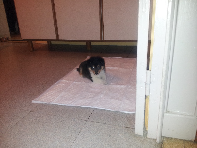 Publication : White And Black Blue Auteur : Espigarez Christine