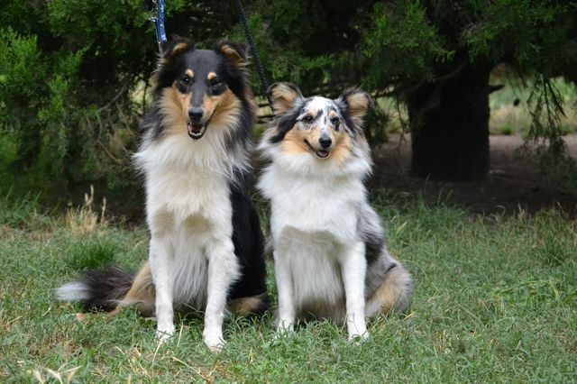 Publication : White And Black Blue Auteur : Espigarez Christine