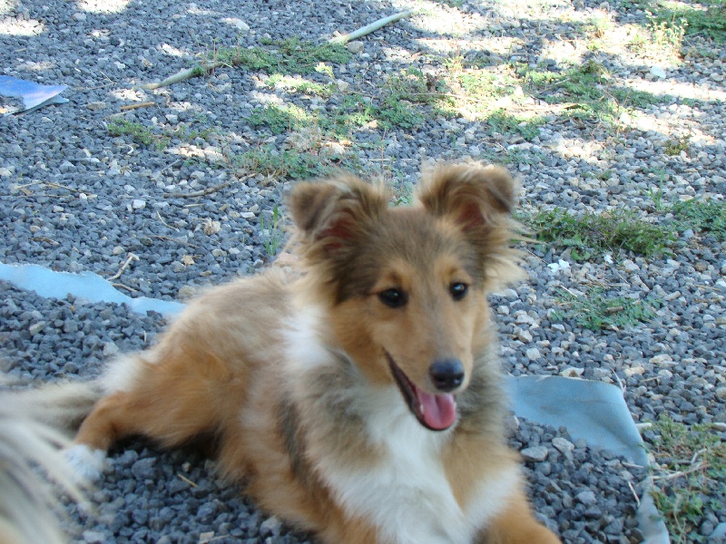 Publication : White And Black Blue Auteur : Espigarez Christine