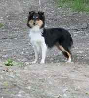 Publication : White And Black Blue Auteur : Espigarez Christine