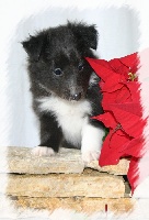 Publication : White And Black Blue Auteur : Espigarez Christine