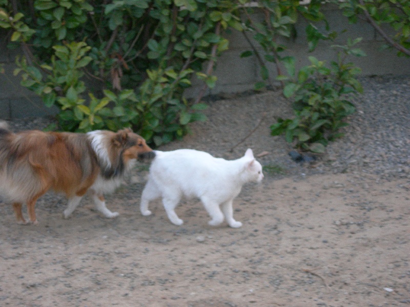 Publication : White And Black Blue Auteur : Espigarez Christine