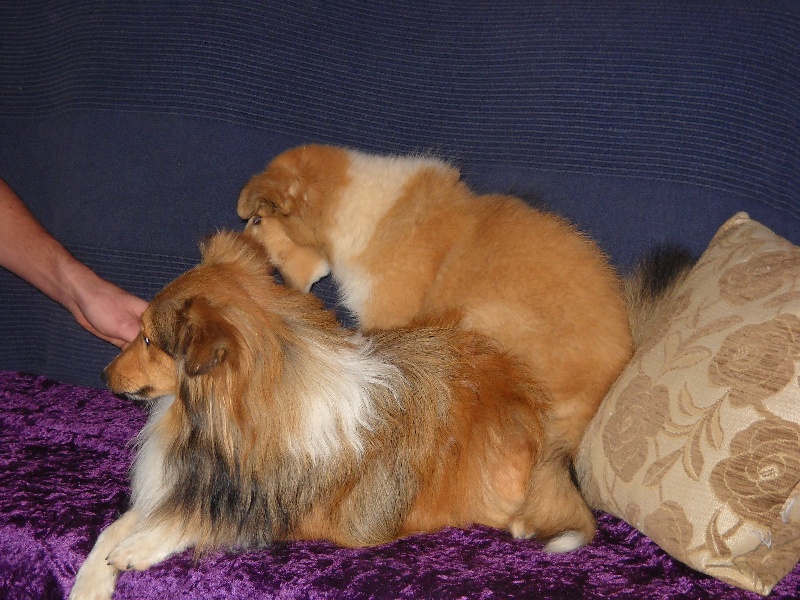 Publication : White And Black Blue Auteur : Espigarez Christine