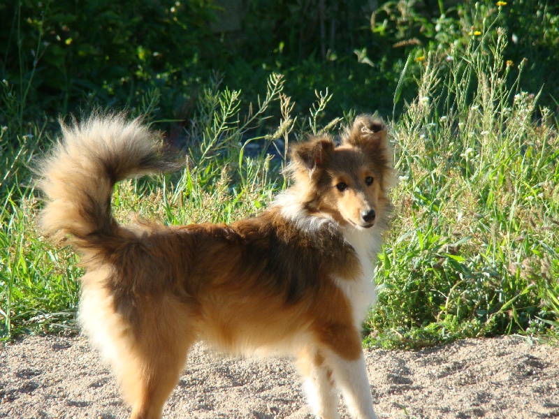 Publication : White And Black Blue Auteur : Espigarez Christine