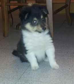 Publication : White And Black Blue Auteur : Espigarez Christine