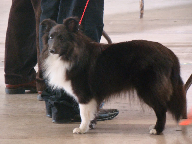 Publication : White And Black Blue Auteur : Espigarez Christine